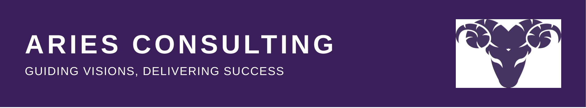 Aries Consulting header
